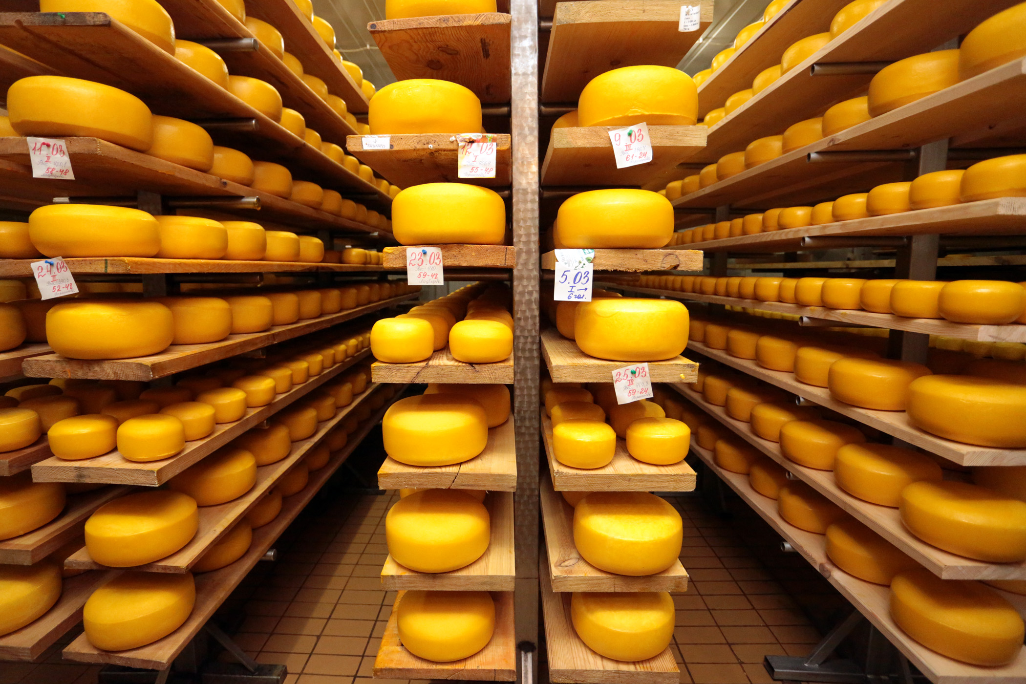 Сайты производителей сыра. Сырный цех. Сырный завод. Производство сыра. Сыр на складе.