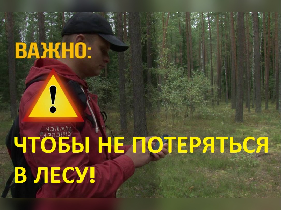 Как не заблудиться в лесу.